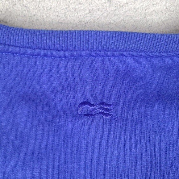 Princess Cruises South America Sweatshirt Adult XL Blue Long Sleeve Pullover - Picture 10 of 16